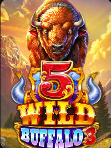 5 Wild Buffalo 3